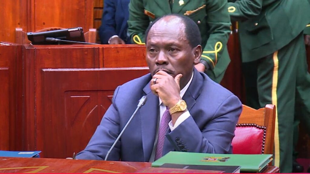CS Kabogo Reveals Govt's Plan to Implement Paperless System