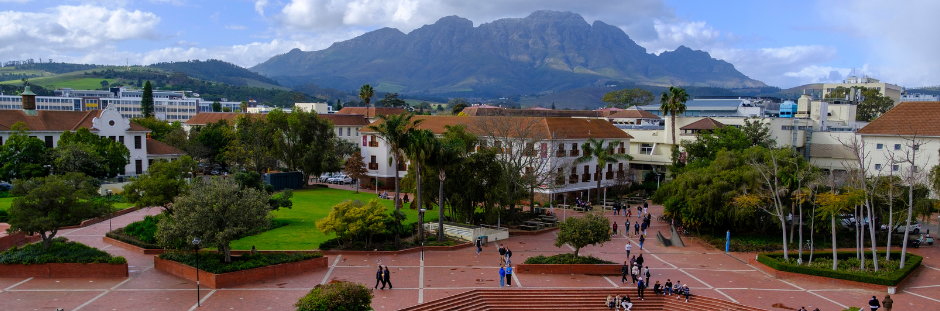 Stellenbosch University